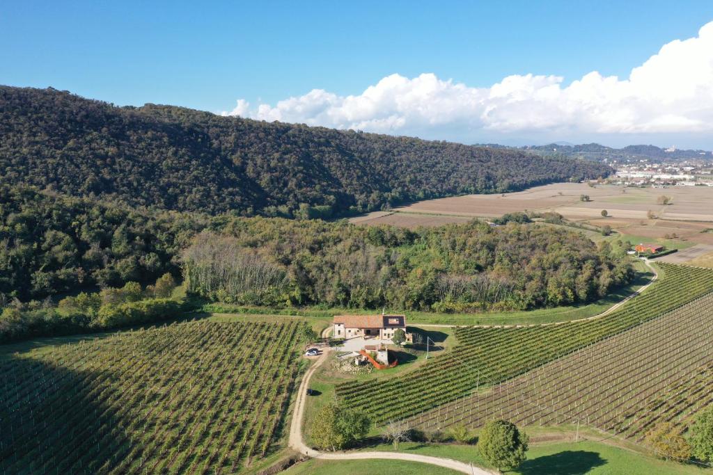 Palladio Vineyard apartment photo 3