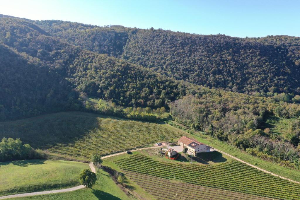 Palladio Vineyard apartment photo 4
