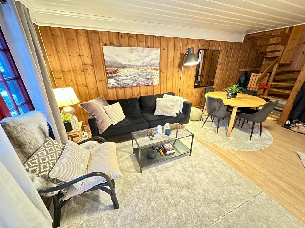 Flott hytte i Vrådal rett ved alpinbakken photo 4