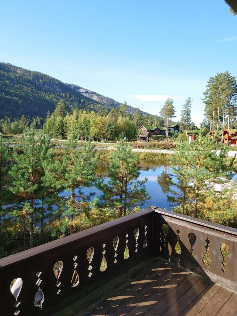Flott hytte i Vrådal rett ved alpinbakken photo 3