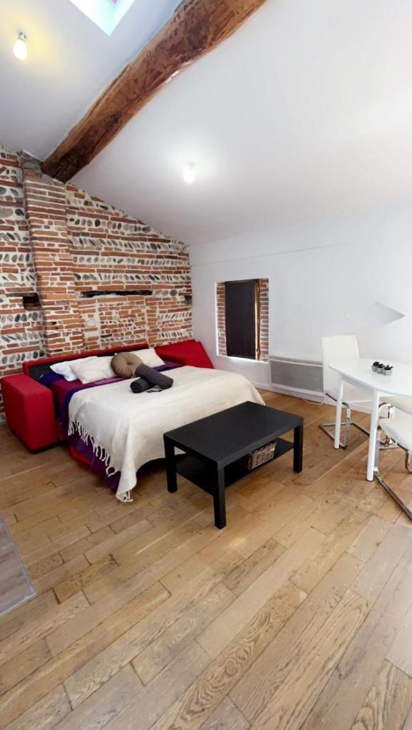 Appartement de charme Toulouse nord photo 1