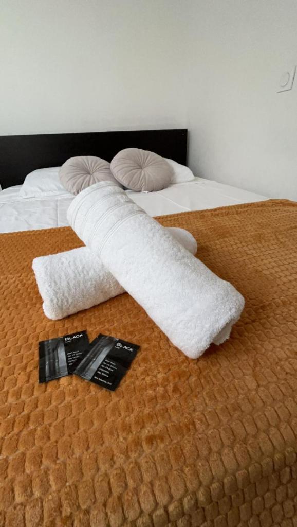 Appartement de charme Toulouse nord photo 2