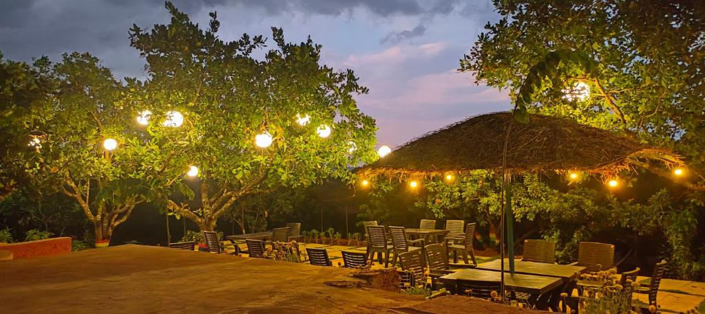 Chalobahills Farmstay Resort photo 3