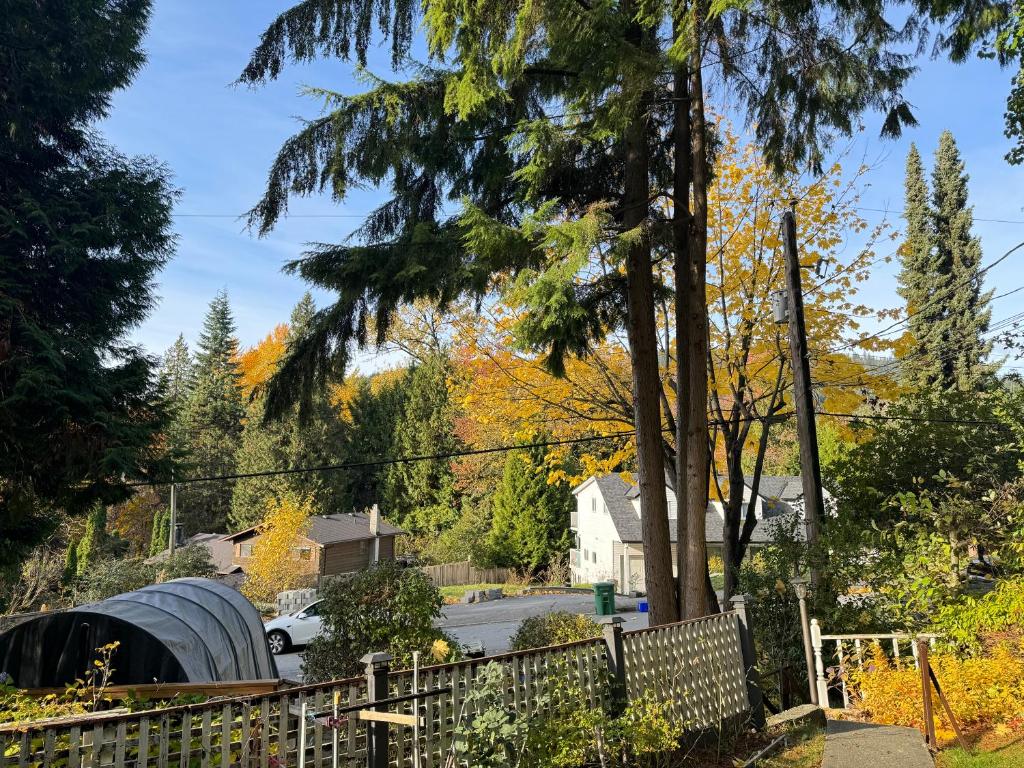 Friendly and cozy home photo 1