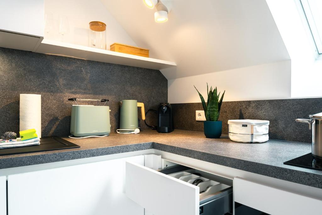 Luxuswohnung am Steinhuder Meer - Tierfreundlich - D photo 3