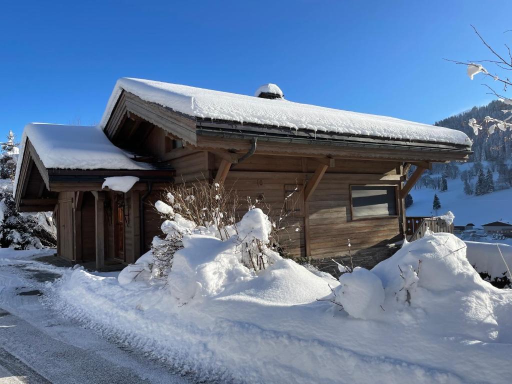 Chalet Canopée photo 2
