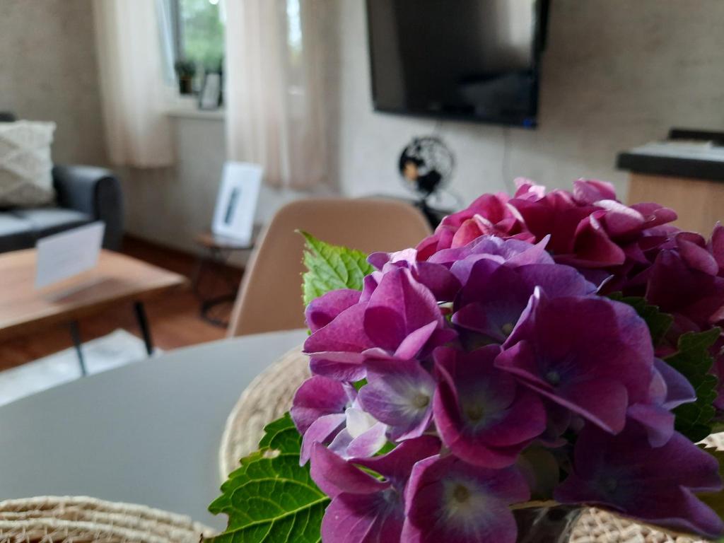 Meerhuuske Käthe photo 3