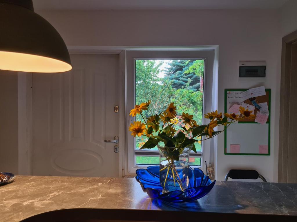 Apartament Bema photo 4