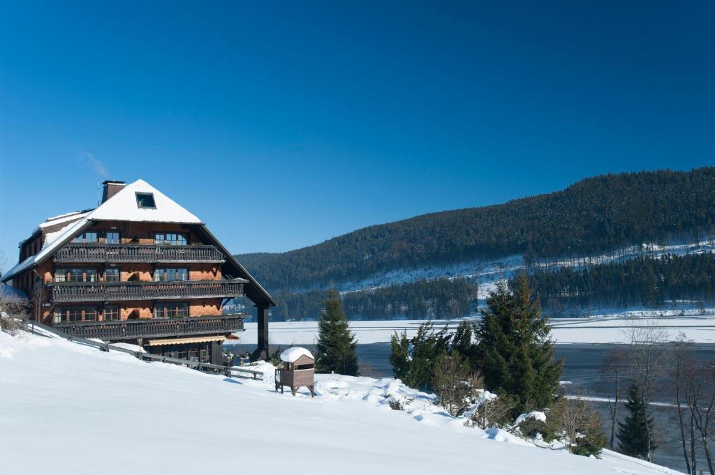 Alemannenhof - Boutique Hotel am Titisee photo 2