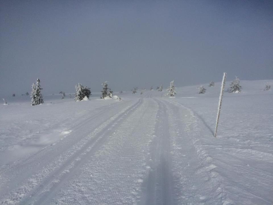 Feriested i Tørberget photo 4