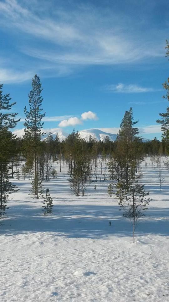 Feriested i Tørberget photo 2