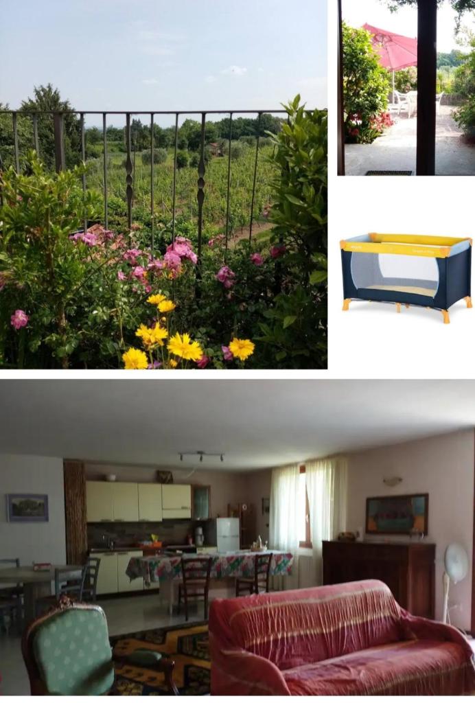 Casa La Cocca photo 3