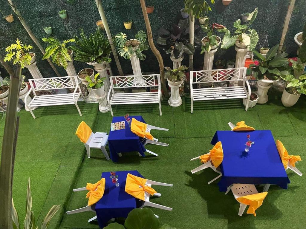 The VeeHive Guesthouse photo 4