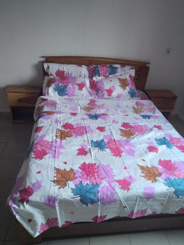 LES RESIDENCES MEUBLEES de FASSO KANU villa photo 1