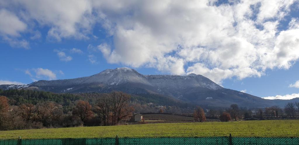 1베드룸 아파트