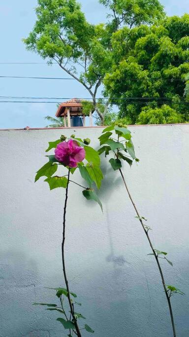 Catherine Villa in Ja Ela near Colombo Airport Expressway Exit photo 1