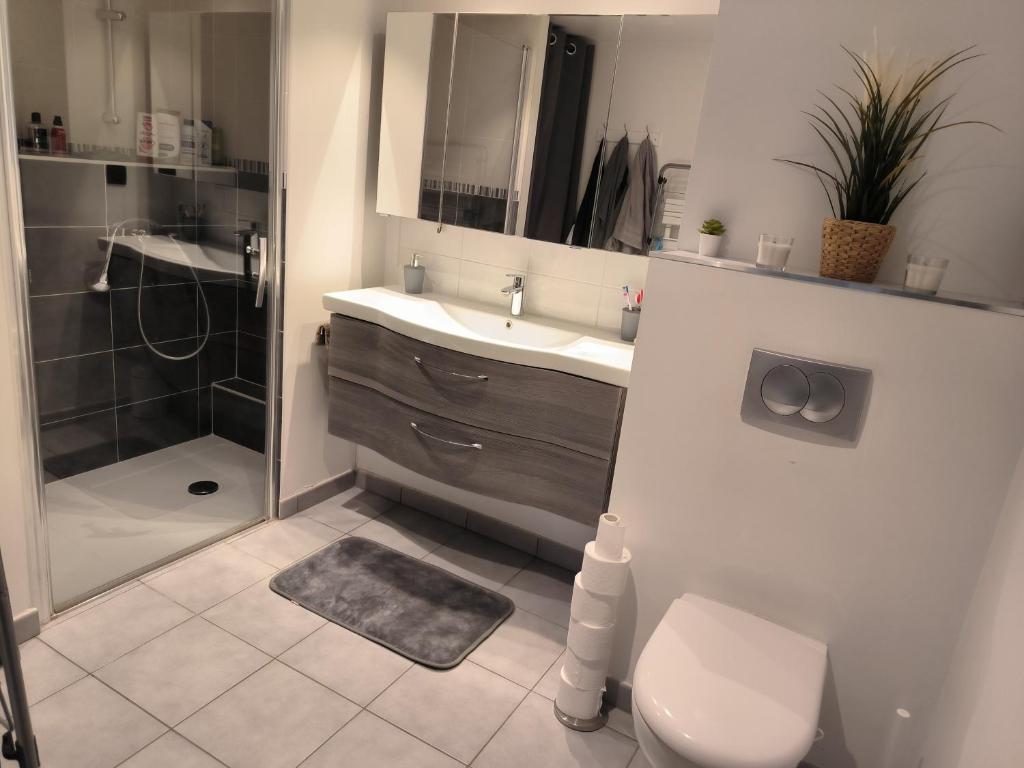 Appartement entier photo 3