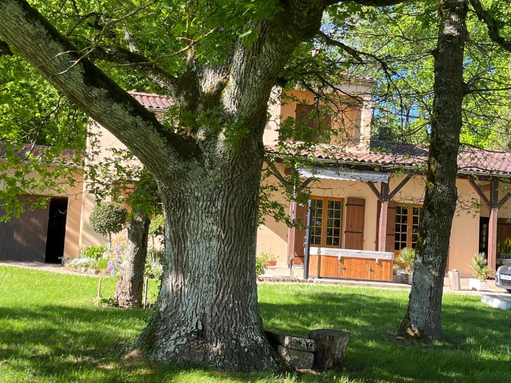 Maison de Vacances MACOU 2 photo 3