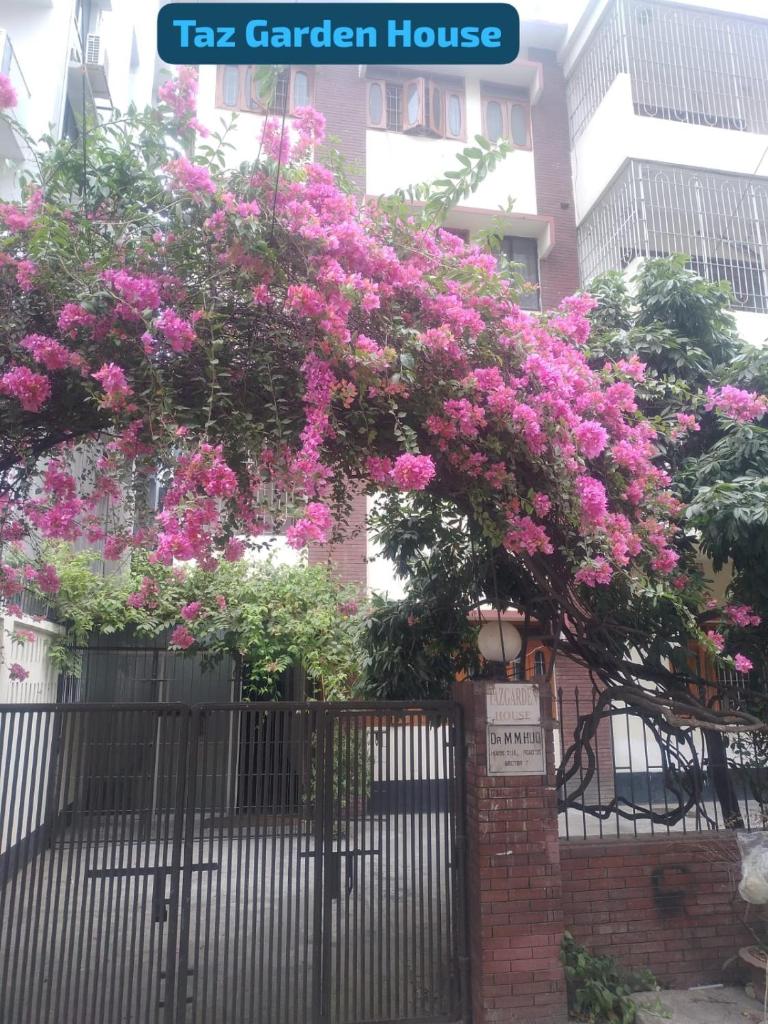 Taz Garden House photo 4