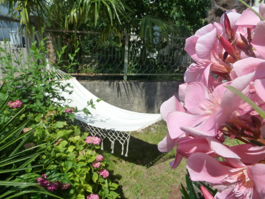 Rose Apartments photo 2