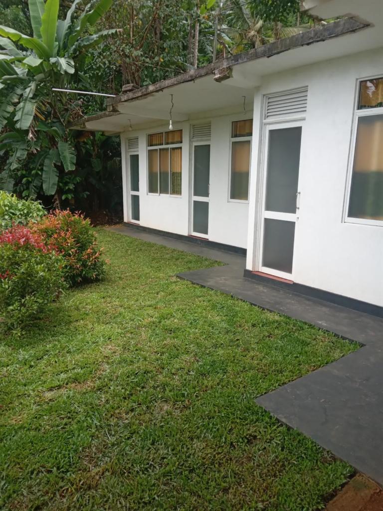 Rainforest Holiday Inn photo 4