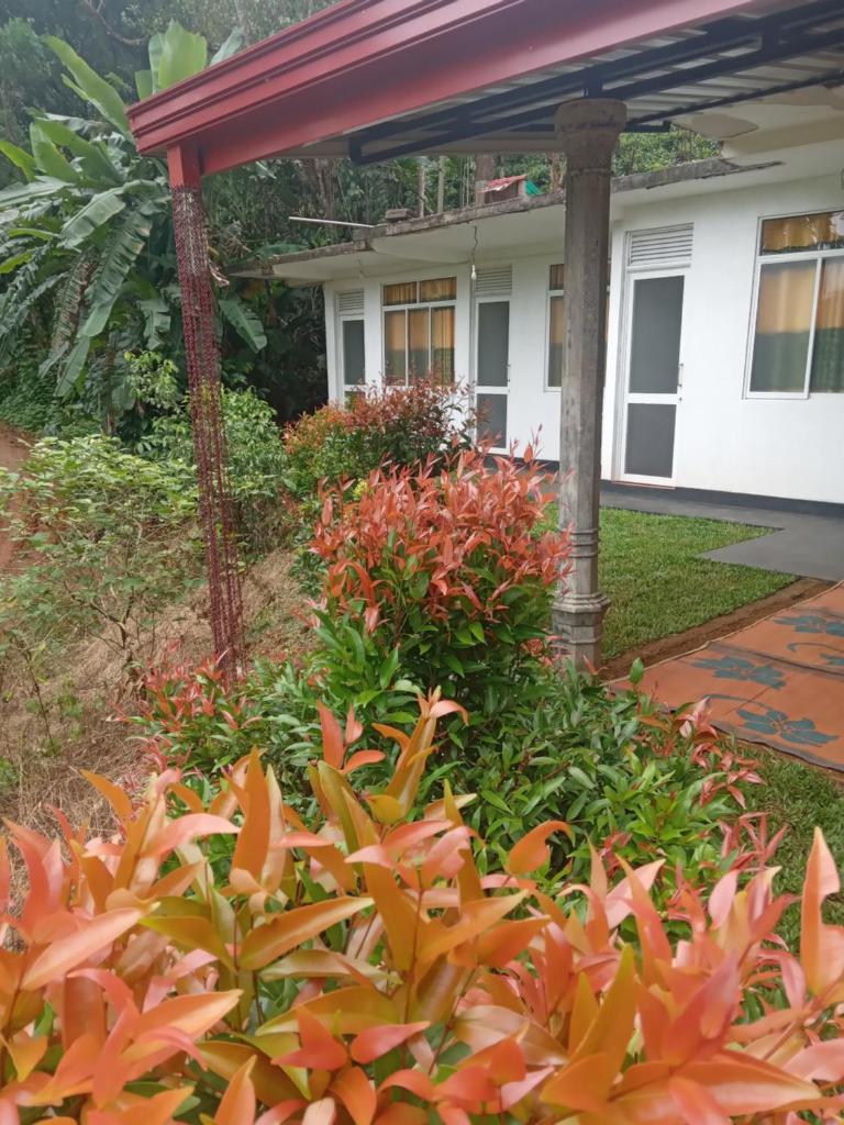 Rainforest Holiday Inn photo 1