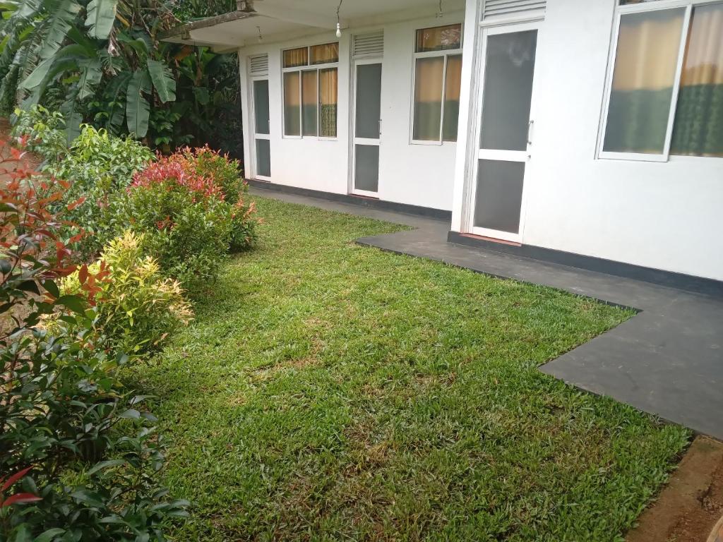 Rainforest Holiday Inn