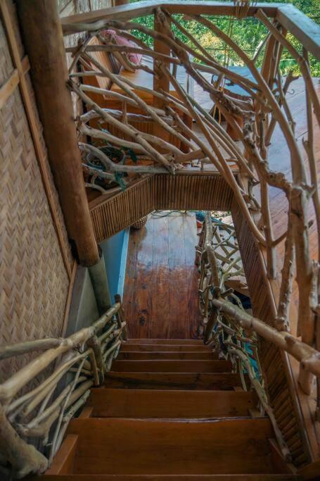 Jungle KingDomes Guest House