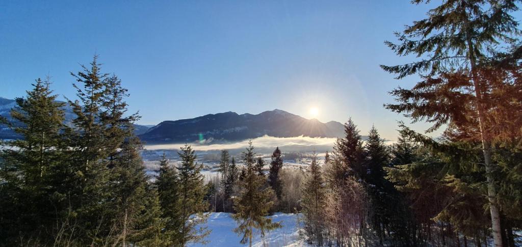 Alpine Meadows Lodge photo 2
