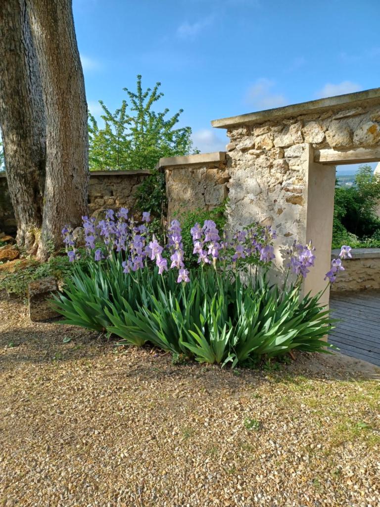 LE VERGER photo 4