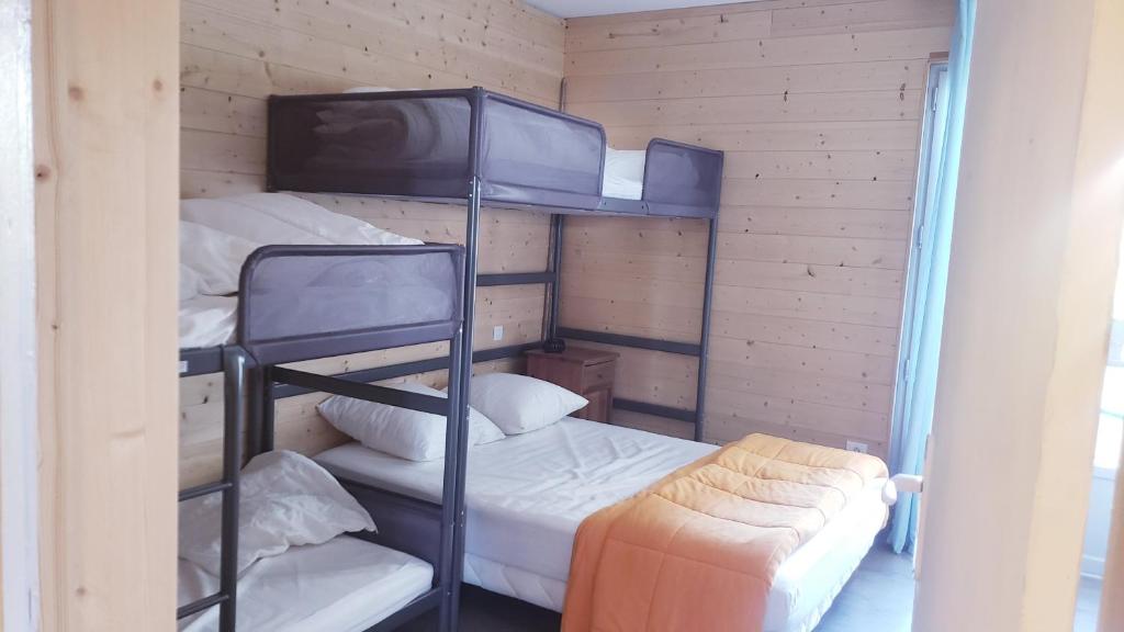 Appartement Le soleil des Alpes photo 4