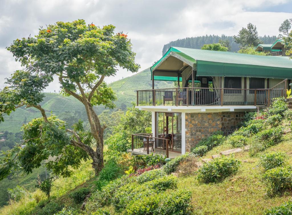 Madulkelle Tea and Eco Lodge photo 2