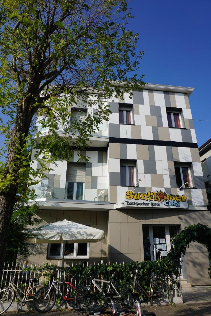 Sunflower City Student Hostel & Bar photo 1