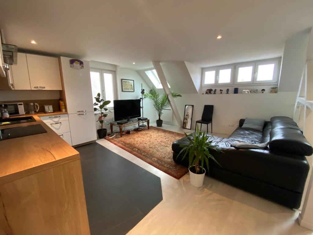 Superbe Duplex Strasbourg