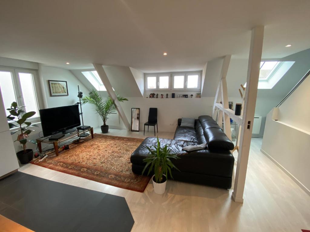 Superbe Duplex Strasbourg photo 1