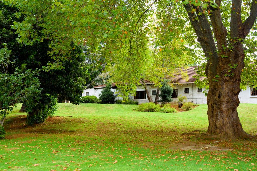 Kings Lodge Hotel photo 1