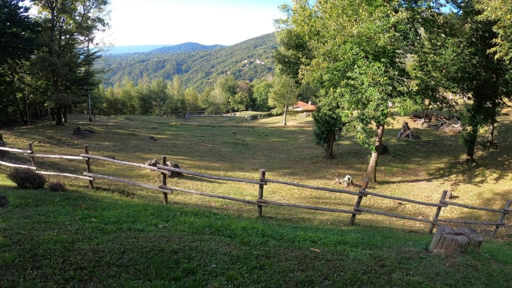 Agriturismo l'Arbo photo 2