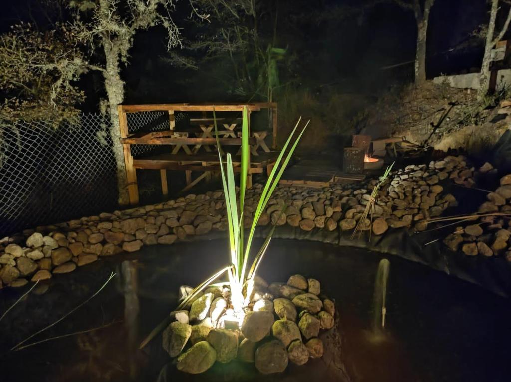 Rancho San Martin glamping photo 3
