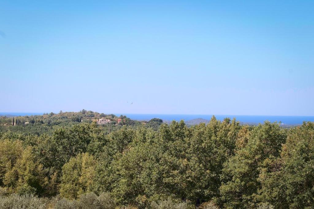 Villa Olivetta by Istrian Country Houses photo 1