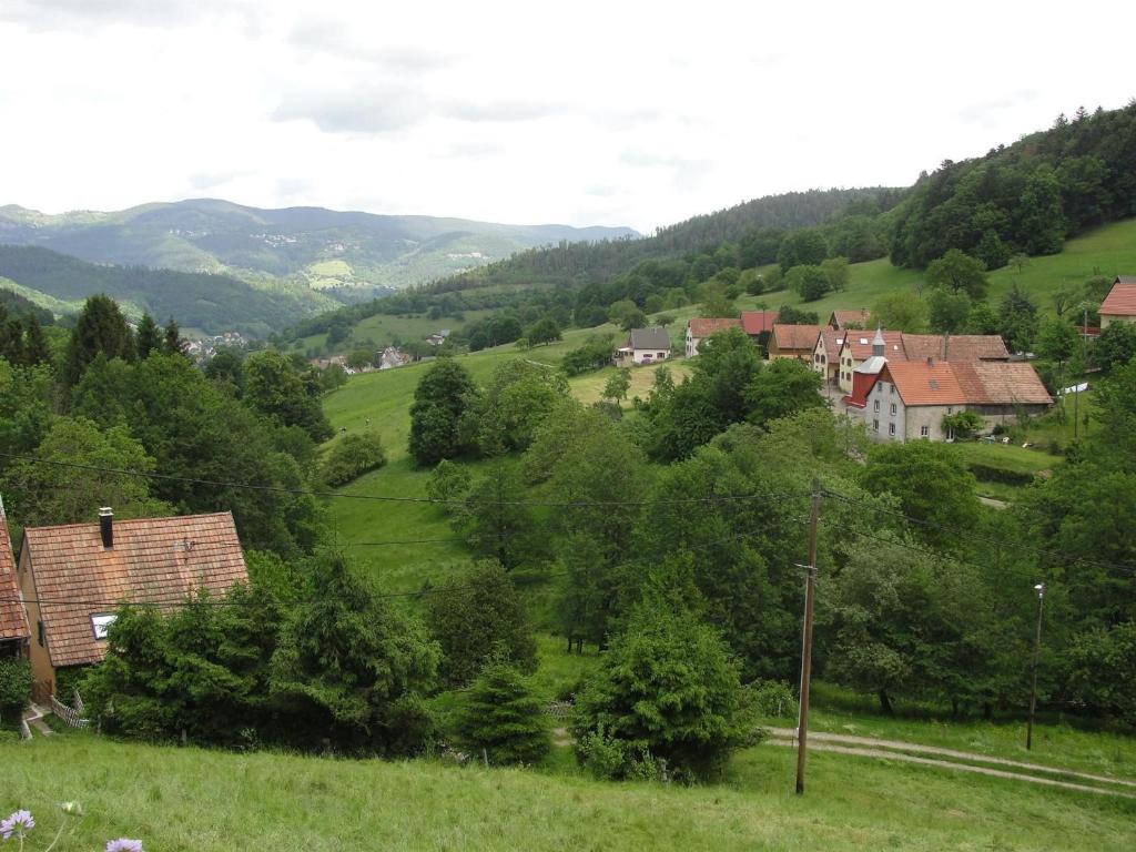 Gîte Breitenbach-Haut-Rhin, 3 pièces, 5 personnes - FR-1-744-42 photo 1