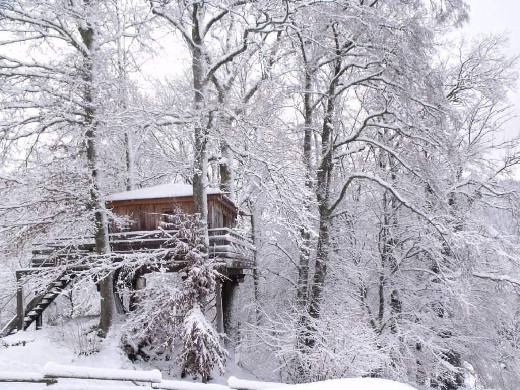 Chalet Ferdrupt, 2 pièces, 4 personnes - FR-1-589-437 photo 1
