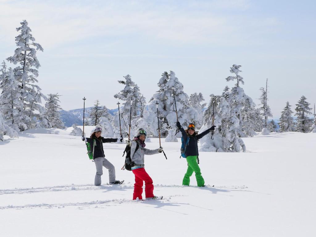 Sachinoyu Hotel Shiga Kogen photo 3