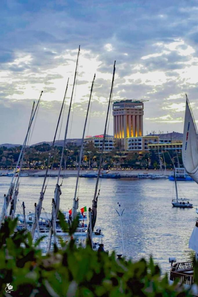 برنامج سياحي كامل داخل اسوان photo 4