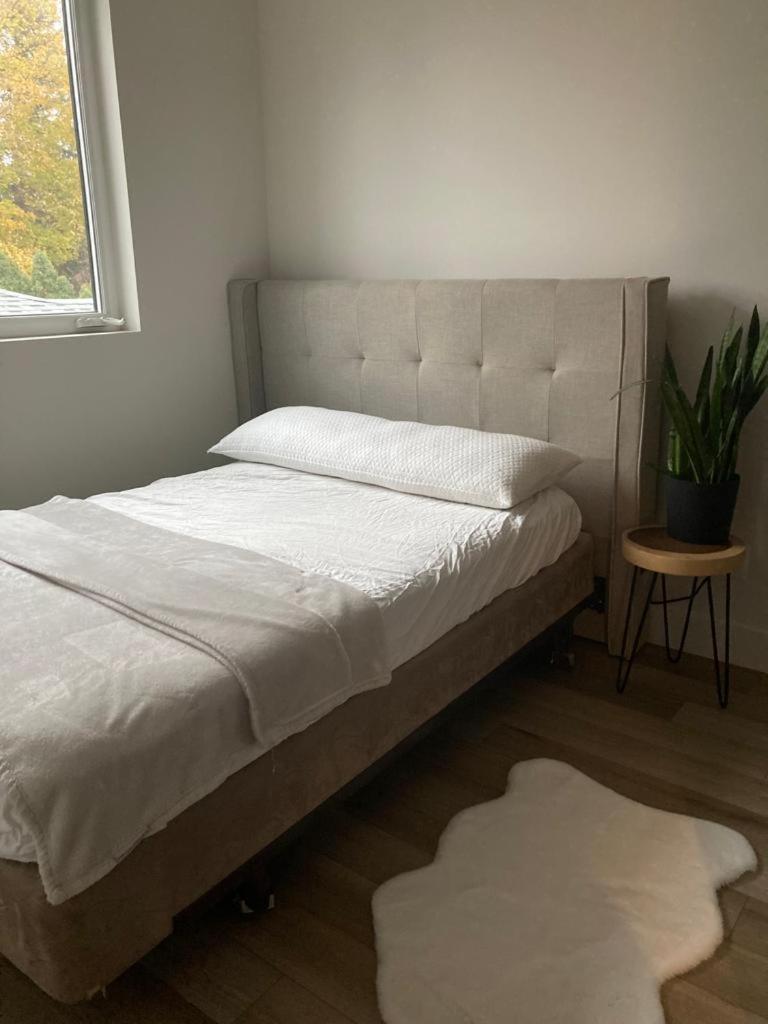 Modern and cozy 4-Plex with a view! (1Bed, 1 Private Bathroom) photo 1