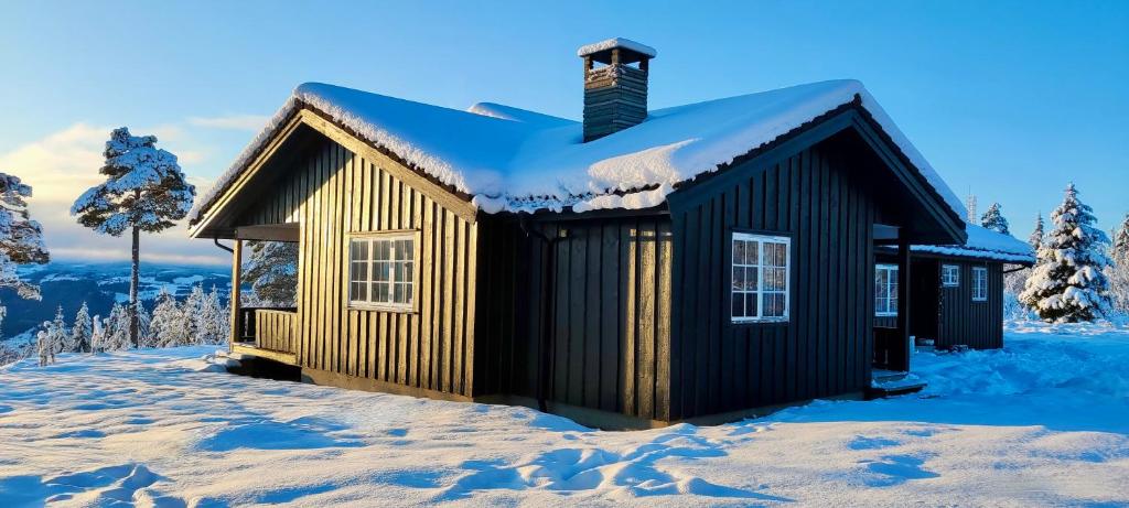 Nordgards Hagen photo 4