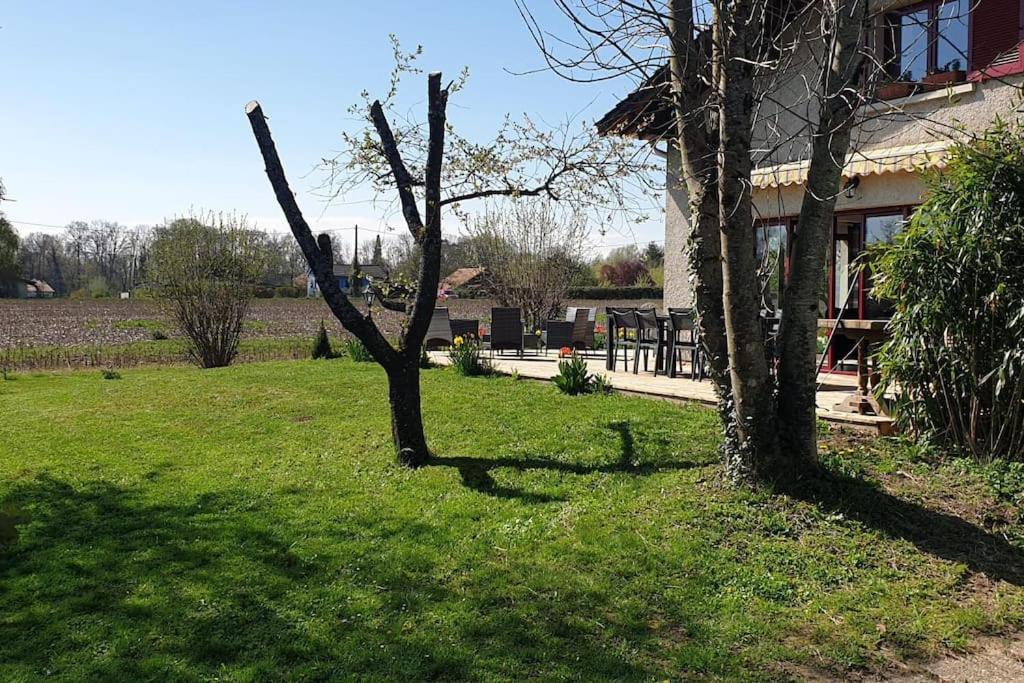jolie maison de campagne à 100 m de l'étang photo 4