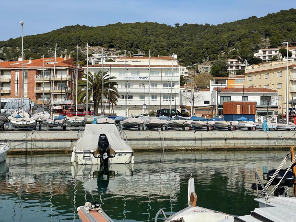 Marina 1-B photo 3