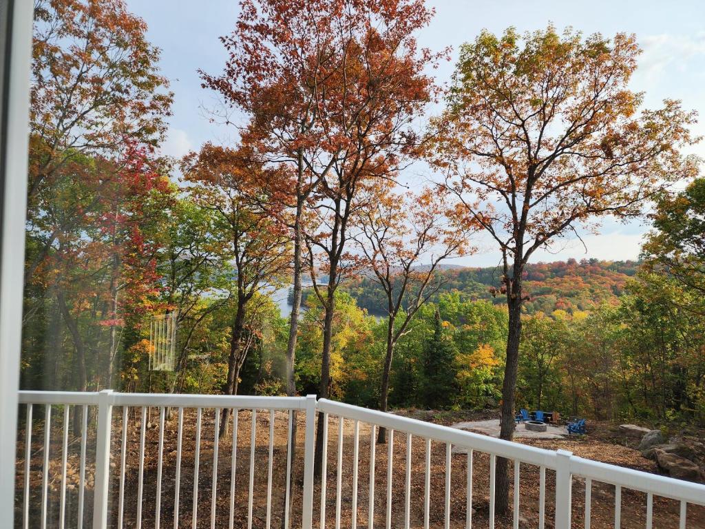Luxury Waterfront Cottage on Little Doe Lake photo 1