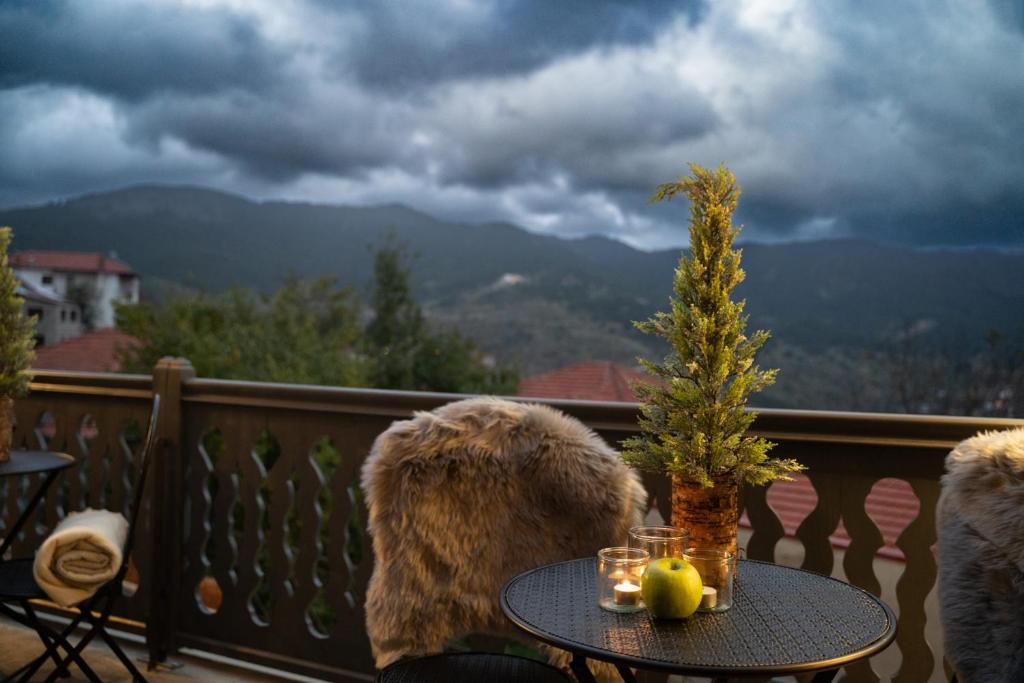 Dandy Villas Metsovo photo 1