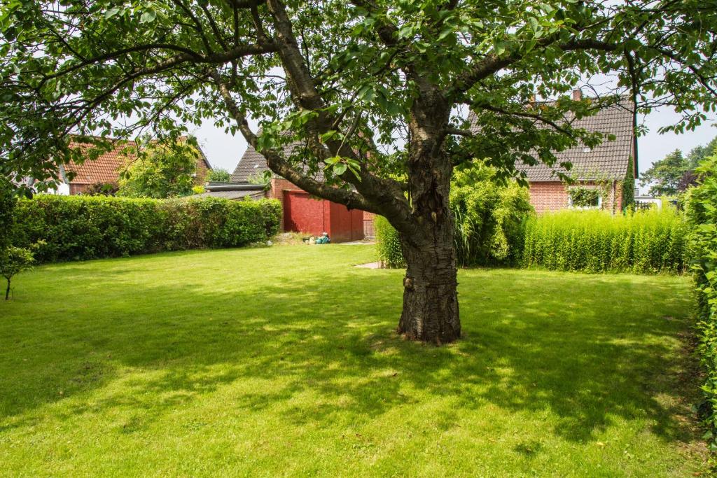 Ferienhaus, Kleine Perle photo 3